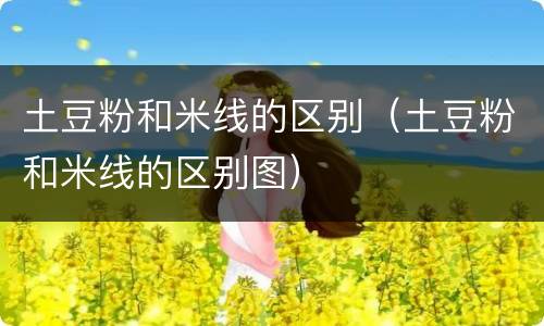 土豆粉和米线的区别（土豆粉和米线的区别图）