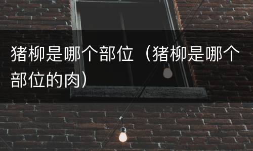 猪柳是哪个部位（猪柳是哪个部位的肉）