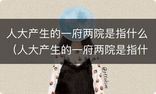 人大产生的一府两院是指什么（人大产生的一府两院是指什么什么什么）