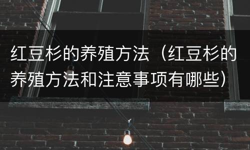 红豆杉的养殖方法（红豆杉的养殖方法和注意事项有哪些）