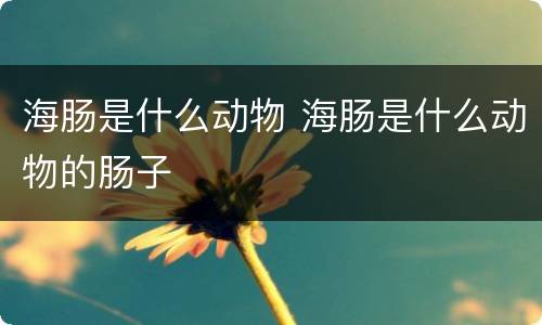 海肠是什么动物 海肠是什么动物的肠子