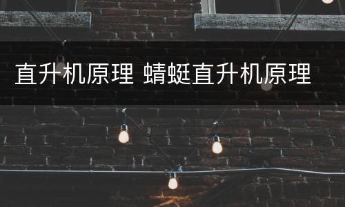 直升机原理 蜻蜓直升机原理