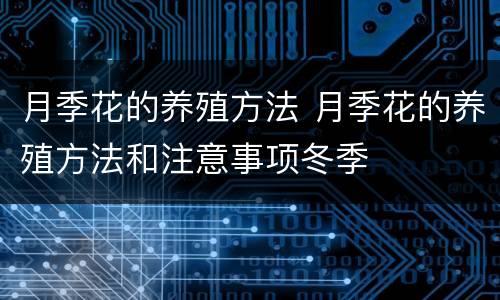月季花的养殖方法 月季花的养殖方法和注意事项冬季
