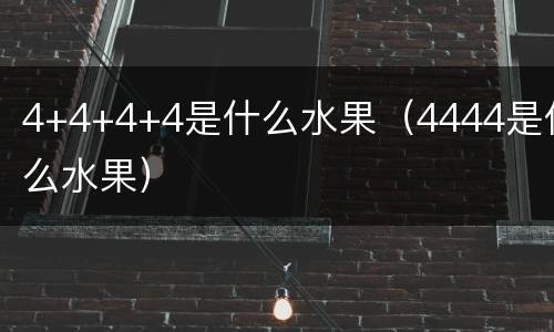 4+4+4+4是什么水果（4444是什么水果）