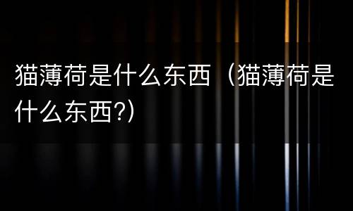 猫薄荷是什么东西(猫薄荷是什么东西?)
