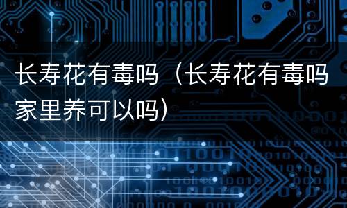 长寿花有毒吗（长寿花有毒吗家里养可以吗）