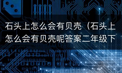 石头上怎么会有贝壳(石头上怎么会有贝壳呢答案二年级下册)