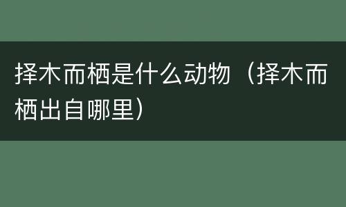 择木而栖是什么动物（择木而栖出自哪里）