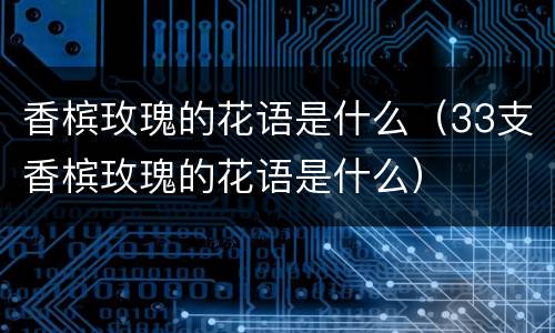 香槟玫瑰的花语是什么（33支香槟玫瑰的花语是什么）