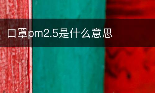 口罩pm2.5是什么意思