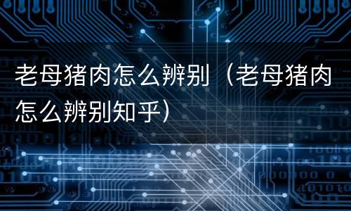 老母猪肉怎么辨别（老母猪肉怎么辨别知乎）