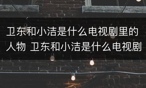 卫东和小洁是什么电视剧里的人物 卫东和小洁是什么电视剧里的人物名字