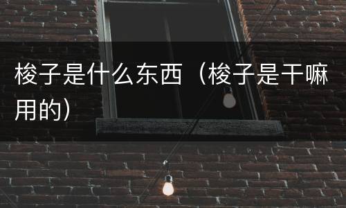 梭子是什么东西（梭子是干嘛用的）