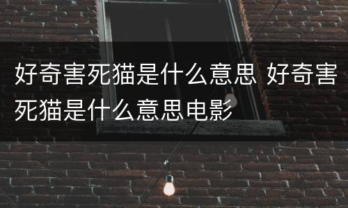 好奇害死猫是什么意思 好奇害死猫是什么意思电影
