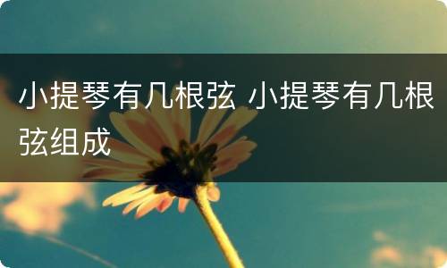 小提琴有几根弦 小提琴有几根弦组成