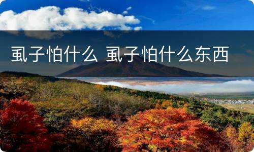 虱子怕什么 虱子怕什么东西