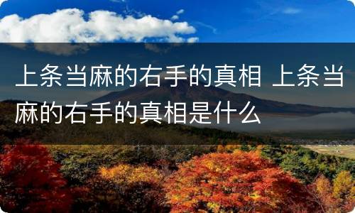 上条当麻的右手的真相 上条当麻的右手的真相是什么