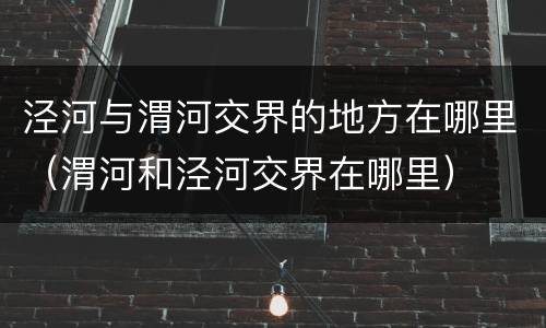 泾河与渭河交界的地方在哪里（渭河和泾河交界在哪里）