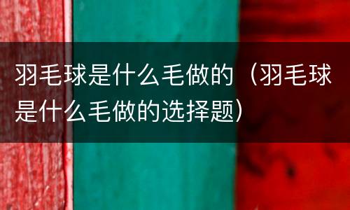 羽毛球是什么毛做的（羽毛球是什么毛做的选择题）