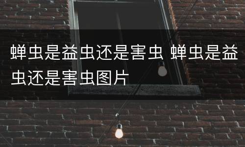 蝉虫是益虫还是害虫 蝉虫是益虫还是害虫图片