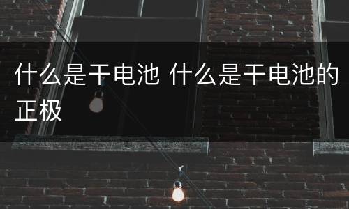 什么是干电池 什么是干电池的正极