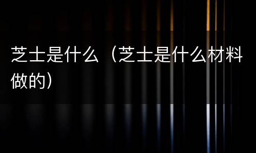 芝士是什么（芝士是什么材料做的）
