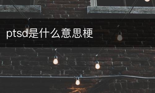 ptsd是什么意思梗