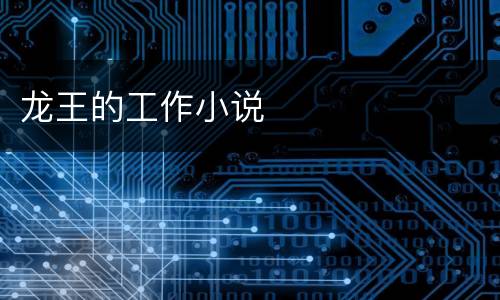 龙王的工作小说