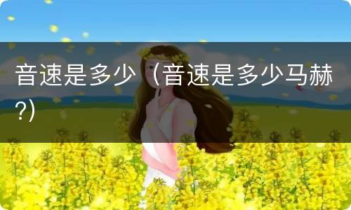 音速是多少（音速是多少马赫?）