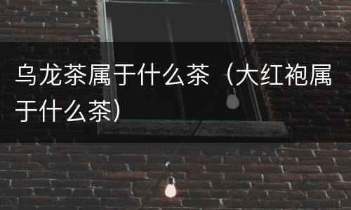 乌龙茶属于什么茶（大红袍属于什么茶）