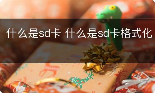 什么是sd卡 什么是sd卡格式化