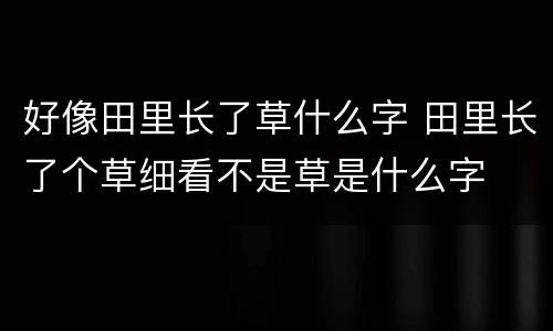 好像田里长了草什么字 田里长了个草细看不是草是什么字