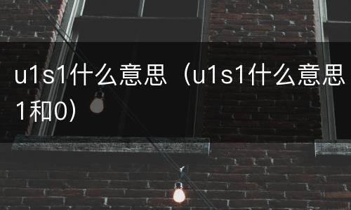 u1s1什么意思（u1s1什么意思1和0）