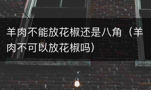 羊肉不能放花椒还是八角（羊肉不可以放花椒吗）
