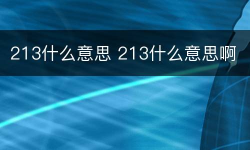 213什么意思 213什么意思啊