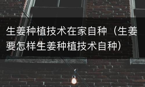 生姜种植技术在家自种（生姜要怎样生姜种植技术自种）