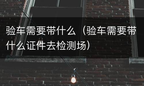 验车需要带什么（验车需要带什么证件去检测场）