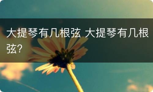 大提琴有几根弦 大提琴有几根弦?