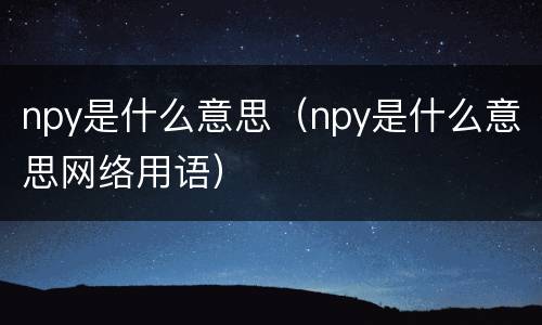 npy是什么意思（npy是什么意思网络用语）