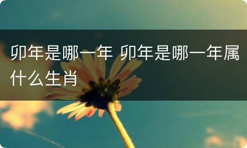 卯年是哪一年 卯年是哪一年属什么生肖