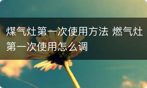 煤气灶第一次使用方法 燃气灶第一次使用怎么调