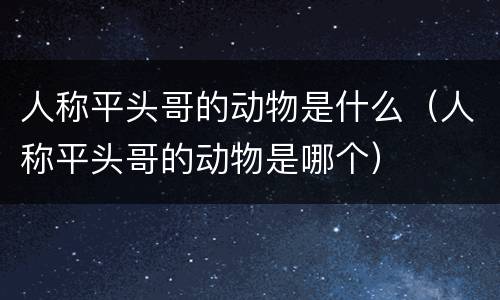 人称平头哥的动物是什么（人称平头哥的动物是哪个）
