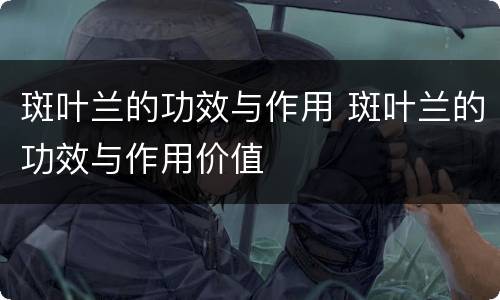 斑叶兰的功效与作用 斑叶兰的功效与作用价值