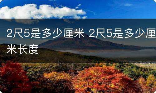 2尺5是多少厘米 2尺5是多少厘米长度