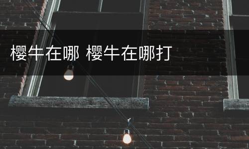 樱牛在哪 樱牛在哪打