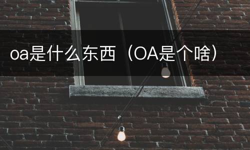 oa是什么东西（OA是个啥）