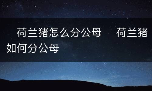 ​荷兰猪怎么分公母 ​荷兰猪如何分公母