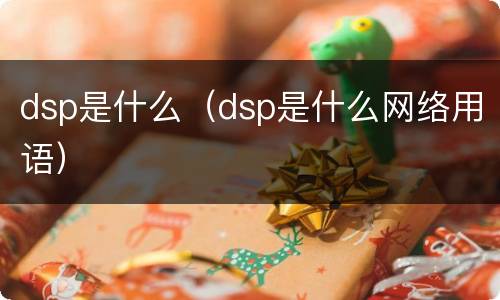 dsp是什么（dsp是什么网络用语）