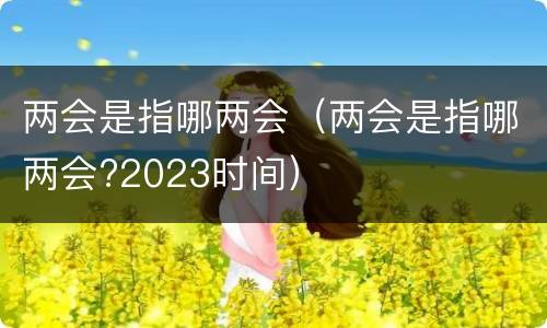 两会是指哪两会（两会是指哪两会?2023时间）