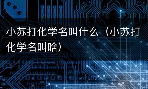 小苏打化学名叫什么（小苏打化学名叫啥）